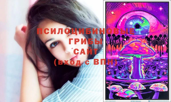 героин Алзамай
