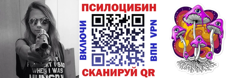 Псилоцибиновые грибы Cubensis  кракен как войти  Лобня 